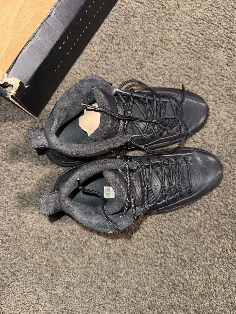 Jordan 12 retro